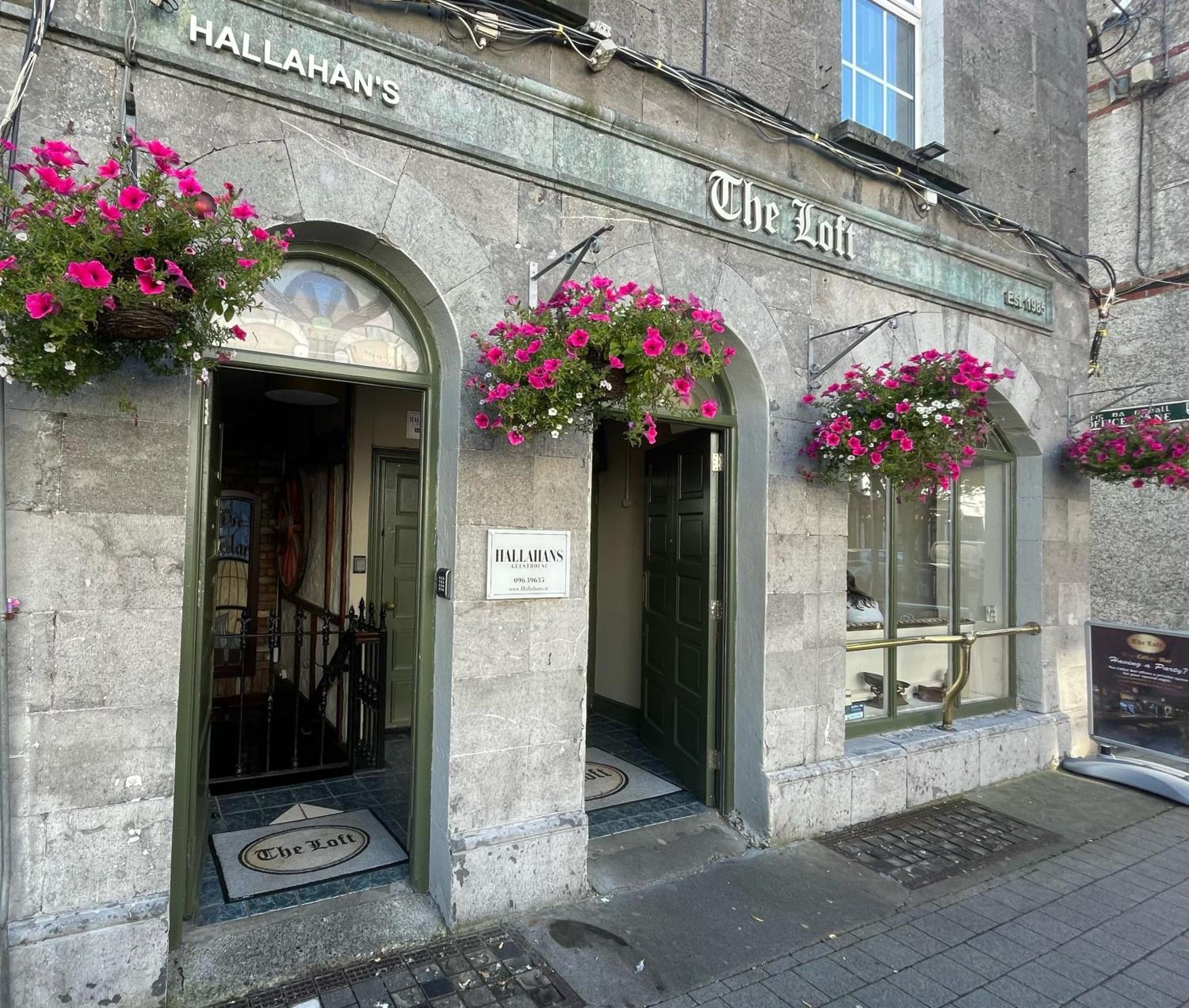 Hallahan'S Ballina  Exteriér fotografie
